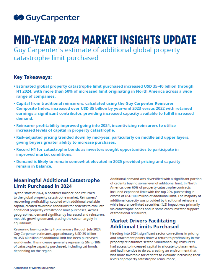 Mid-Year 2024 Market Insights Update PDF