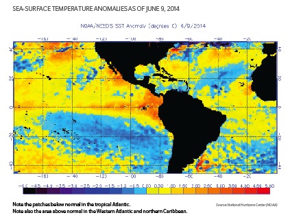 Severe Weather Print